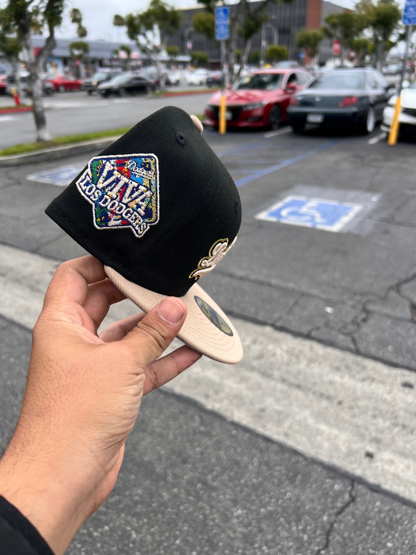 Los Angeles Dodgers Black / Camel Viva Script
